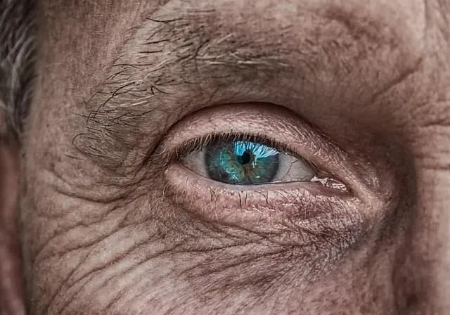 Comprendre la Viralité : Les Éléments Clés du Succès