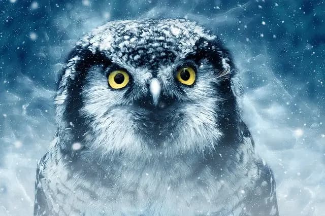Comment Intégrer le Storytelling dans Votre Contenu Viral